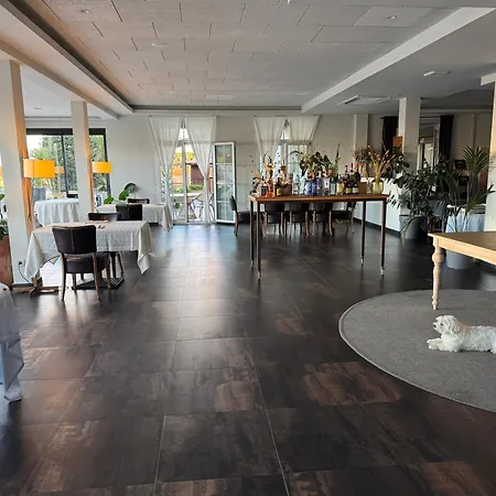 Отель & Restaurant Figueres Parc Эльс-Осталетс