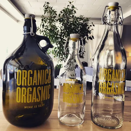 Hotel Hotel&restaurant Figueres Parc