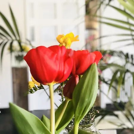 Hotel&restaurant Figueres Parc